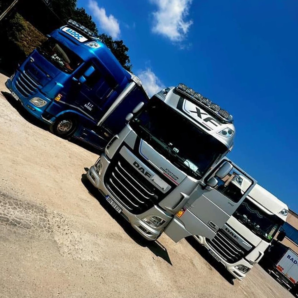 Camioanele DAF din flota de transport international